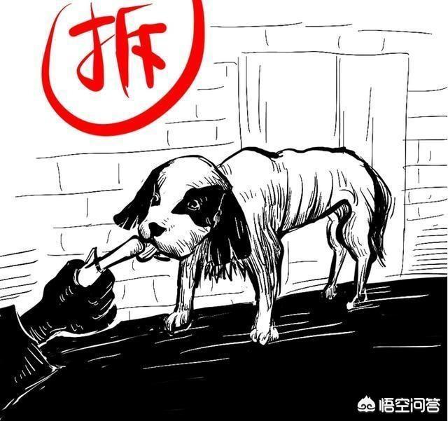 狗狗东西在我里面拔出不来了漫画:狗狗漫画只有养狗的人才能懂 宠物感染了细小病毒，不去医院自己该怎么治疗？