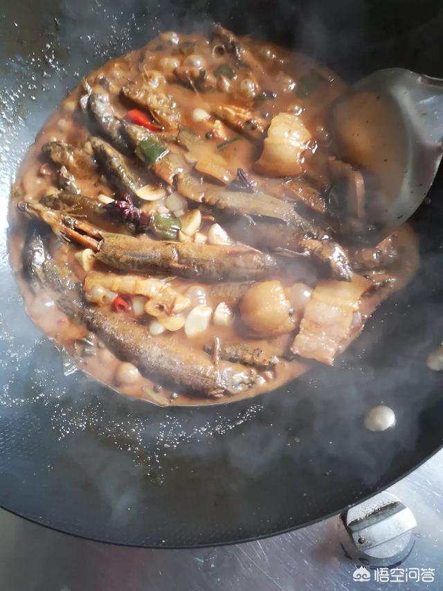 苦力泥鳅好不好:农村的泥鳅和黄鳝，哪个营养价值更高？为什么？