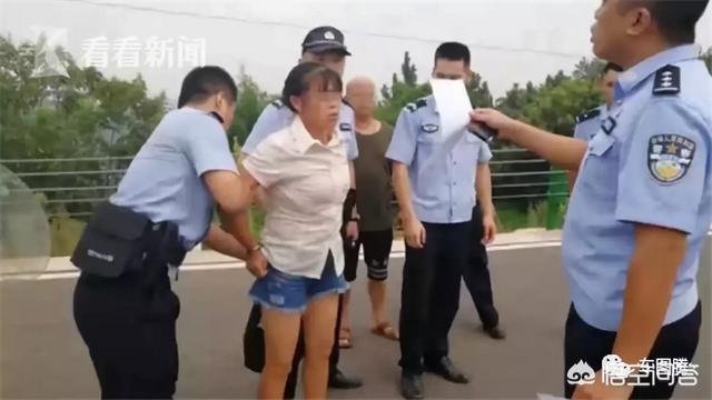 撞死金毛狗狗图片:在小区内开车撞死了宠物怎么办？