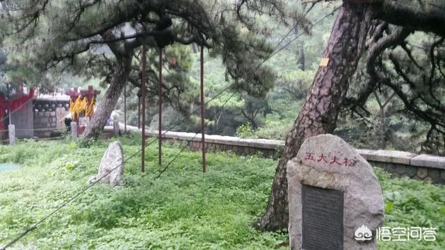 秦始皇简介:谈及秦始皇，你的第一印象是什么？