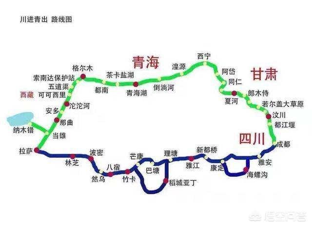 萨路基沙漠追羚羊视频:家里喂两只大鹅，大蟒蛇不敢进家里吗？