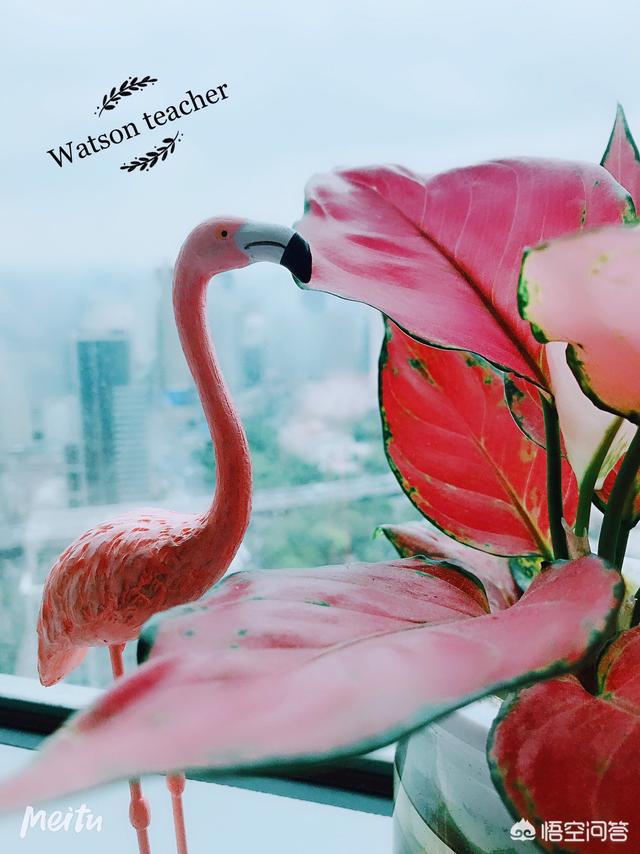 玻璃心真的好吗？能否说说你们身边玻璃心的人？