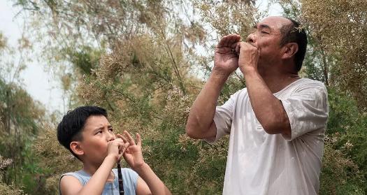 李岷城:如何评价《百鸟朝凤》这部电影？