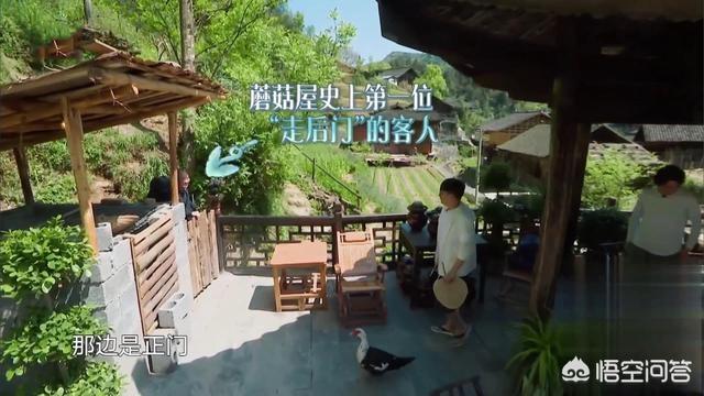 潘石屹的第一任:为何说潘石屹是被蘑菇屋坑得最惨的商界大佬