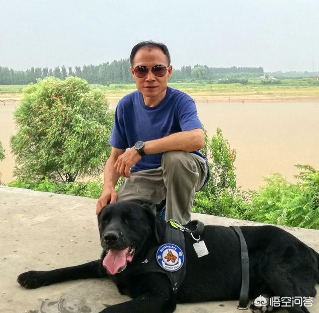 小狗狗图片:你会带上狗狗去自驾游吗？