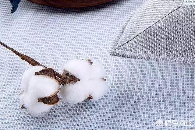 凉席哪种好:凉席都有什么品牌？哪个牌子的好？