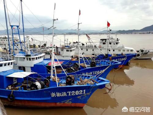 浙江临海警方破获一起特大非法捕捞案，禁渔期依然偷捕，台州45名渔民被判刑, 你怎么看