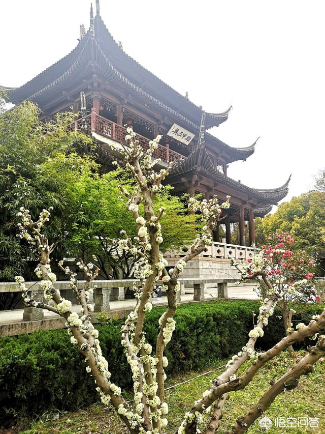 苏州有哪些不为人知的景点？