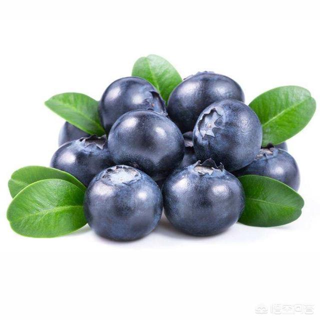 蓝莓与黑枸杞的区别，黑枸杞和红枸杞有什么区别？