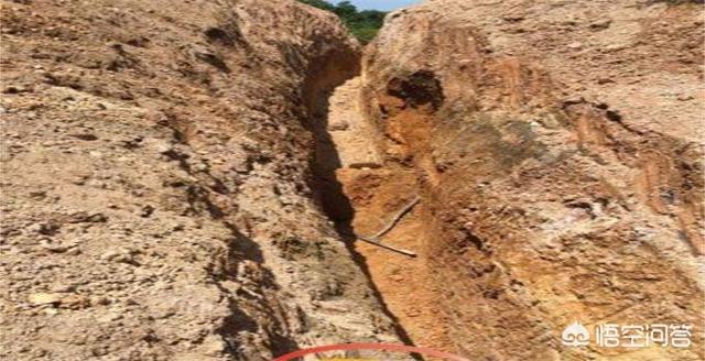 地质队真的在阉龙吗，三十多年前那些地质队挖壕沟是找什么