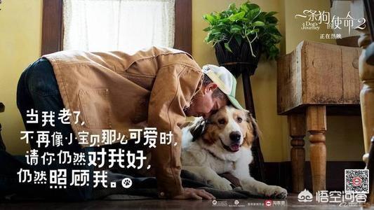 狗狗心事2最新章节:2岁半宝宝比较叛逆，怎样做到不打她教育好让她乖乖听话？