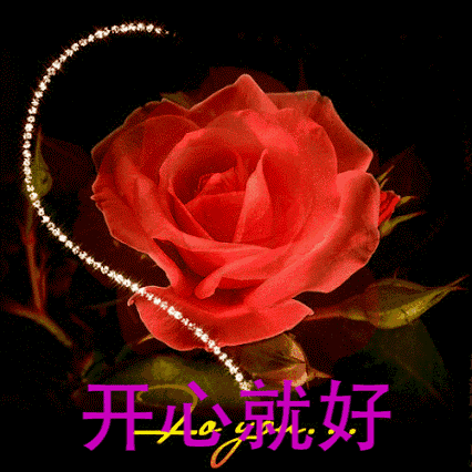 胡天语:居士与和尚，有什么区别？