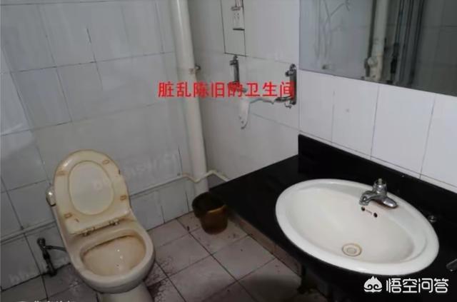 外面小飞虫多怎么回事,有的旅馆为啥有那么多小虫子？