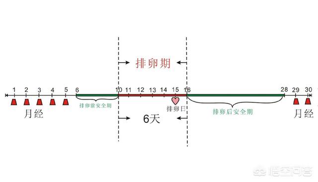 你好 前几天测得排卵试纸都很淡 排卵后第十天 昨天晚上小腹有点疼 几分钟 然后我那马上去测排卵 试纸 好像阳性 早上的温度降低了 最低点了 早孕试纸白板 明天姨妈日 会不会有好孕啊 妈妈帮问答