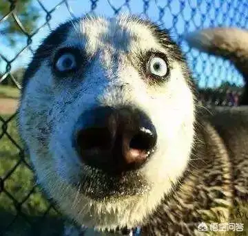 垃圾分类的意义有哪些（垃圾分类意义简单概括）