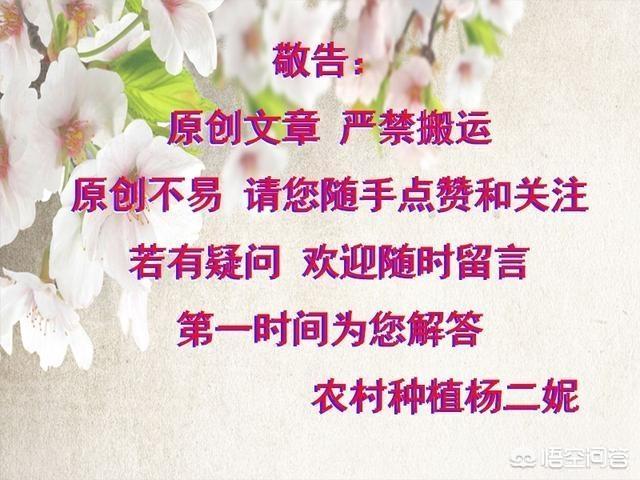 世界濒临灭绝的植物:严重濒临灭绝的植物怎样才能保护