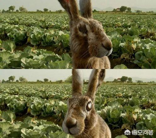 万能钥匙结局:有哪些开始以为是烂片，靠一个结尾拯救了全片的反转电影？
