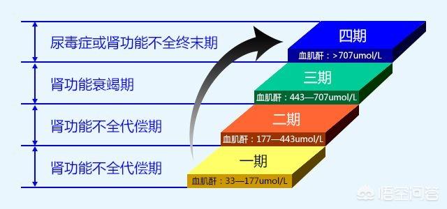 血肌酐高和什么因素有关，血肌酐和尿毒症是什么关系