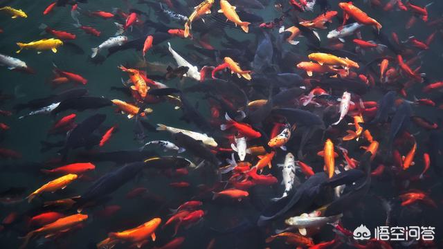 济南附近一日游:济南一日游去哪里玩比较好呢？(济南一日游必去景点)