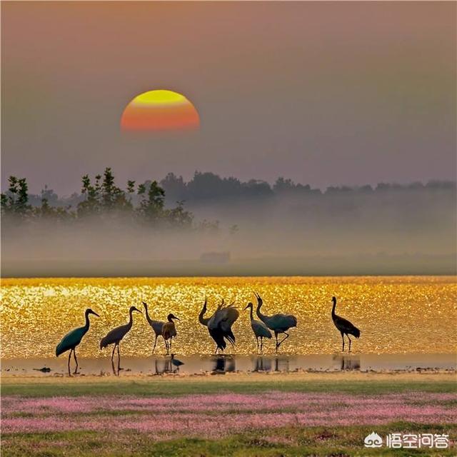鄱阳湖老爷庙水域:鄱阳湖是地震陷下去形成的吗？只看见山头，山脚有多深？