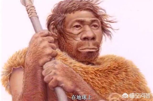 在众多影视剧中有哪些印象深刻的侏儒角色？
