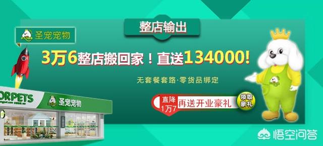 开宠物店需要多少钱:开一家宠物店至少需要花多少钱？