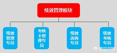 人力资源部门一般都设哪些岗位