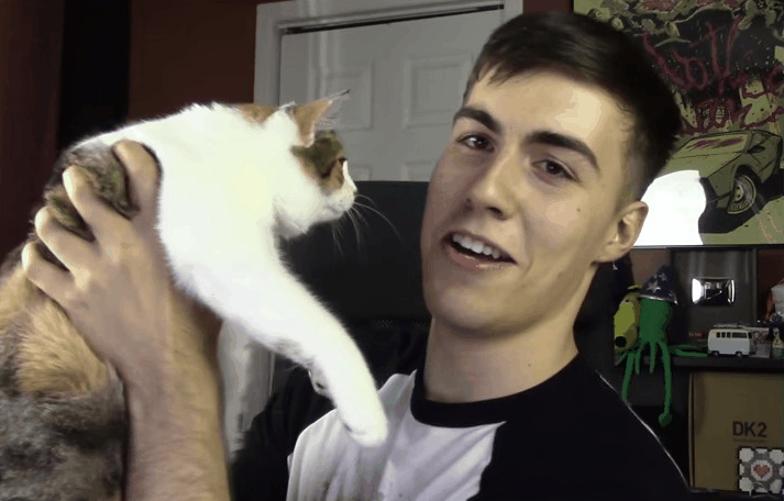 猫咪舔了皮特芬:小猫肚子上起藓怎么处理？