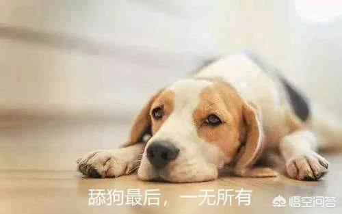 美人鱼儒艮:《美人鱼》里老祖鱼说了段郑先生救鱼族的事，这和郑少秋什么关系