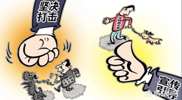 广州市养犬管理条例禁止:养犬不登记遛狗不牵绳，广州警方依规处理362人, 你怎么看？ 南京市养犬管理条例 禁止养的犬