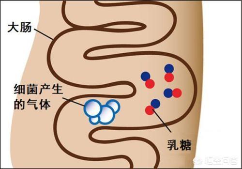九个月宝宝急性肠炎的症状:乳糖不耐受宝宝最常见的症状有哪些？