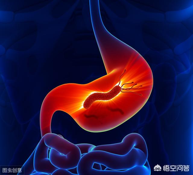 三伏天多吃4物,预防幽门螺杆菌,是哪4物？