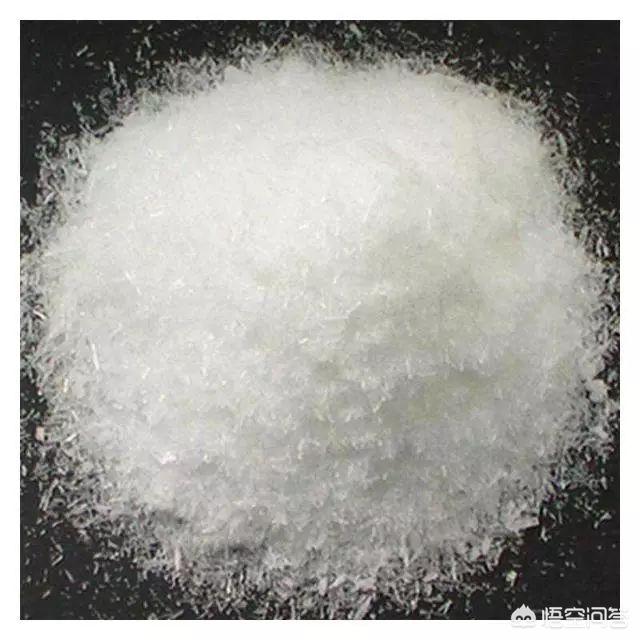 伟嘉妙鲜包有诱食剂:两个月的小猫除了猫粮还可以吃什么？
