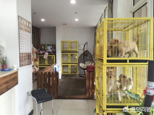 开宠物店赚钱吗贴吧:开一家宠物用品店挣钱吗？前景如何？