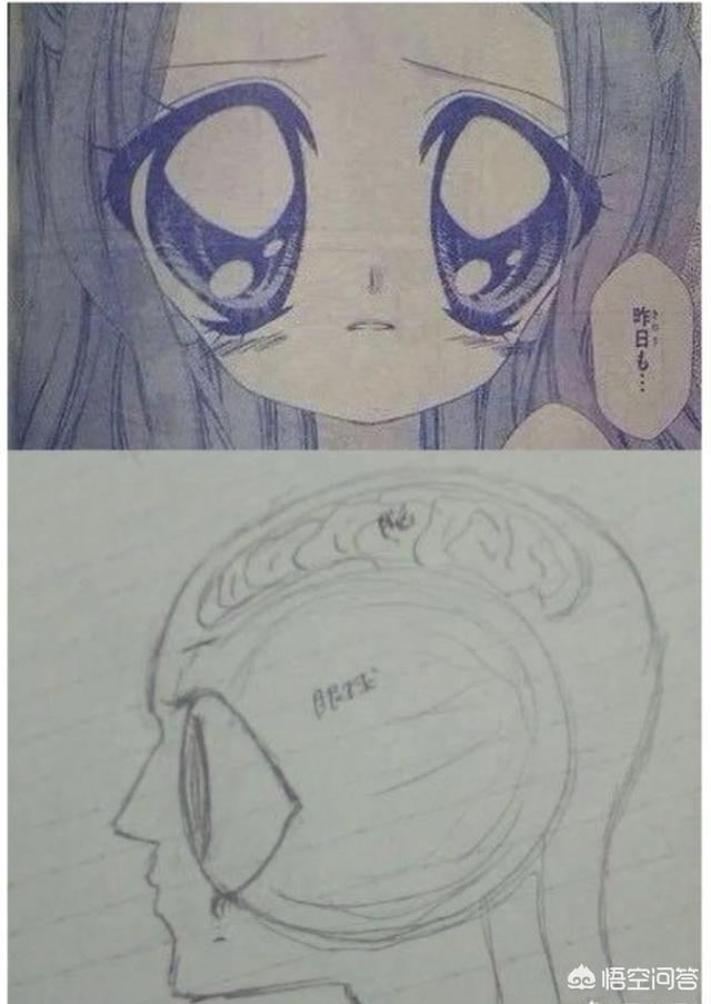 动漫中的妹子都是甜美可人,如果让动漫中的妹子出现在现实也是拳头大的眼睛,要不要呢？