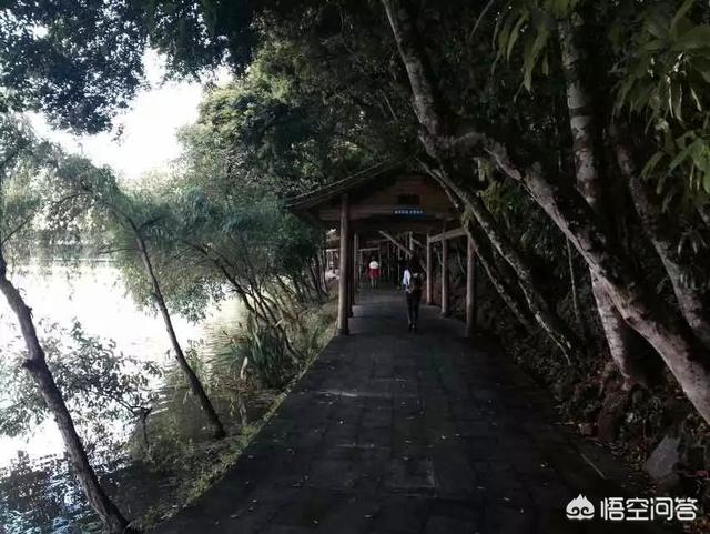 丽江哈多利系博美价格:云南最佳的旅游地点是哪里？