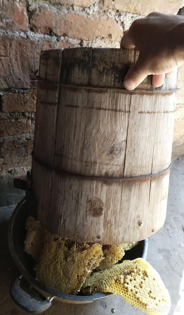 头条问答 - 到底是活框养蜂好,还是木桶养蜂好呢?(22个回答)