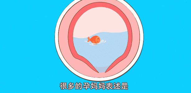 胎儿蠕动是胎动吗?-惠修网