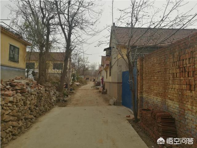 农村凶虎压青龙房屋图,农村左邻右舍的房子比自己家高怎么办？