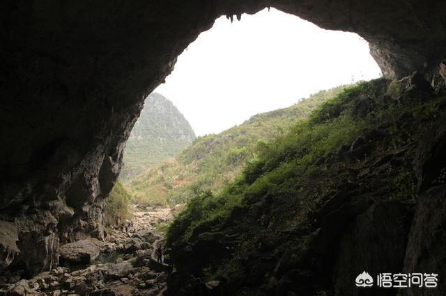 古村是哪里的村,古村奇草是哪里生产的