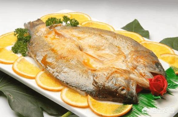 红烧鲈鱼家常菜，排骨炖鲈鱼