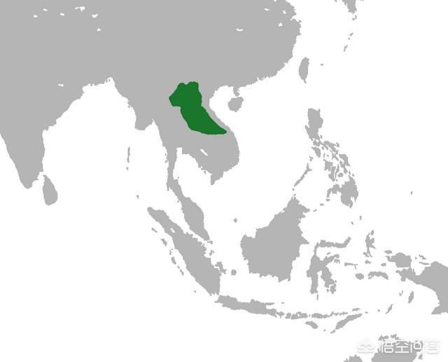 苏门答腊犀牛最新数量:中南半岛在历史上是否统一过？有什么依据？