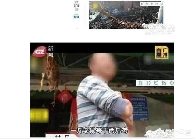 为什么有些地方的人爱吃老鼠和虫子？难道他们不觉得恶心吗？