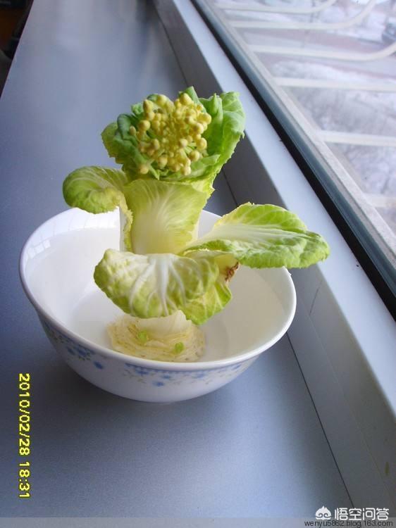 我是学汉语言文学的,看到自媒体上毫无文采、章法的文字竟有很高的推荐和收益,为啥？