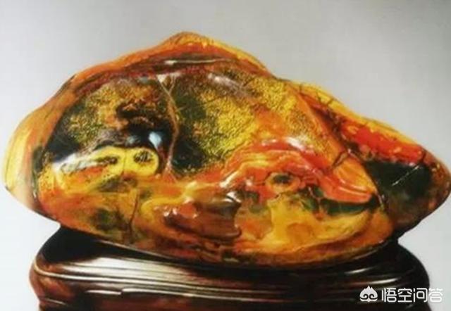 天然大化石原石图片,你收藏的天然奇石有哪些已经升值了？