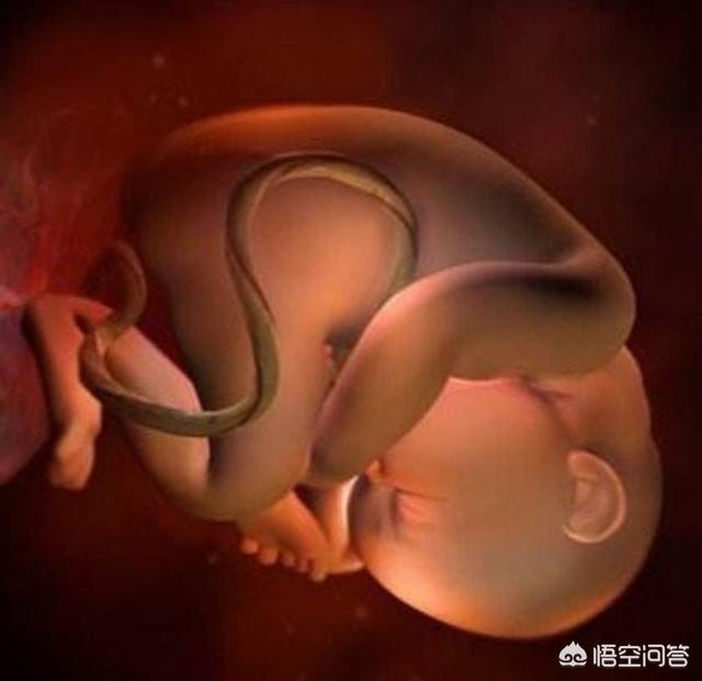 孕晚期怎样做有助于顺产？