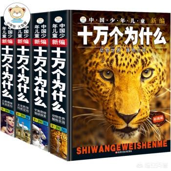 撒贝宁狐狸狗催眠:睡觉前适合看哪些书？又能学到点东西？
