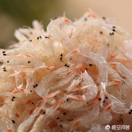 德牧趴蹄吃什么钙片好:德牧补钙过多会瘸腿吗,德牧怎样能不补钙过多？