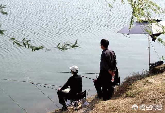 鱼活饵:钓鲫鱼用活饵，还是面饵好呢？