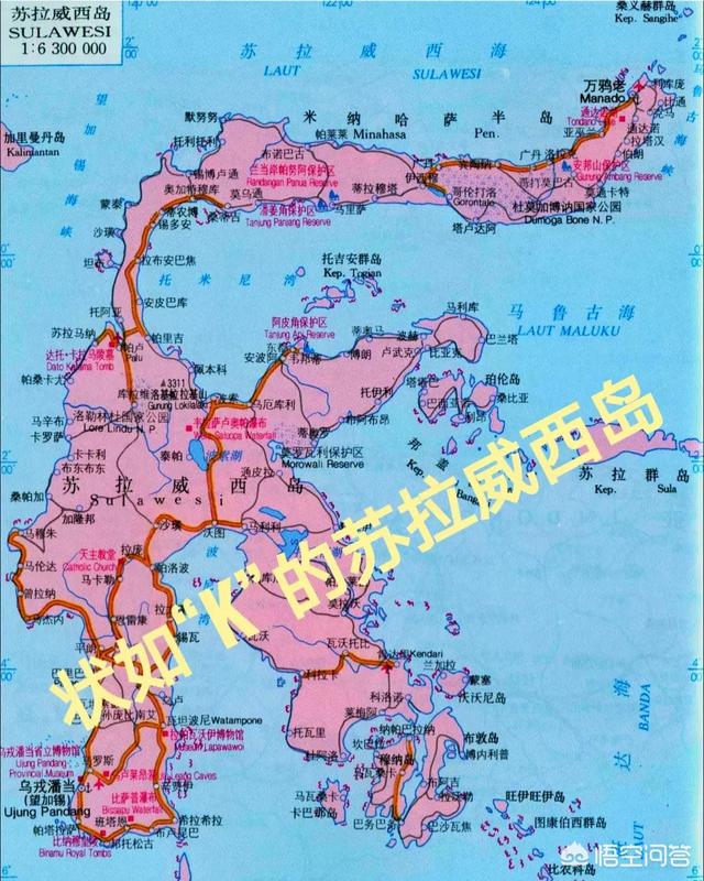 苏拉威西岛:介绍一下苏威拉西岛的地理人文？